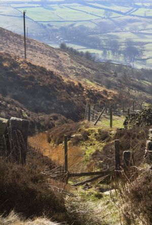 haworth moor march 2012 nice sm.jpg